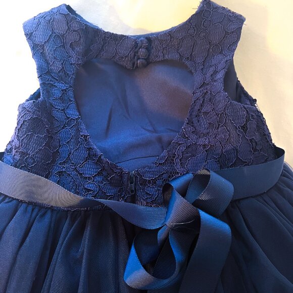 Heart Cutout Back Ball Gown Flower Girl Dress Size 3 - Picture 7 of 14